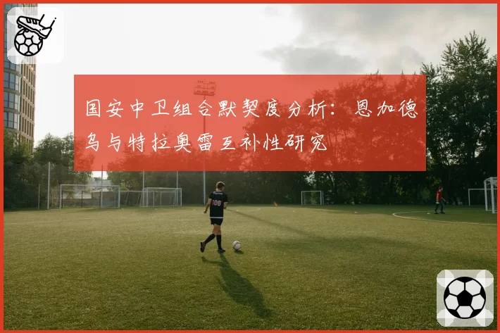 国安中卫组合默契度分析：恩加德乌与特拉奥雷互补性研究