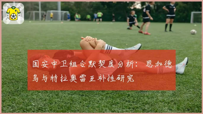 国安中卫组合默契度分析：恩加德乌与特拉奥雷互补性研究