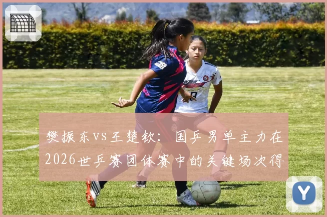 樊振东vs王楚钦:国乒男单主力在2026世乒赛团体赛中的关键场次得分贡献率
